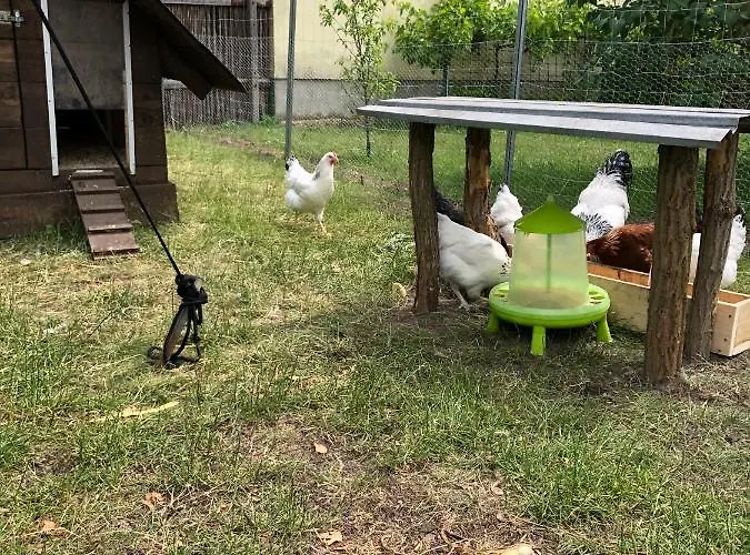 بيت للعطل Sterling